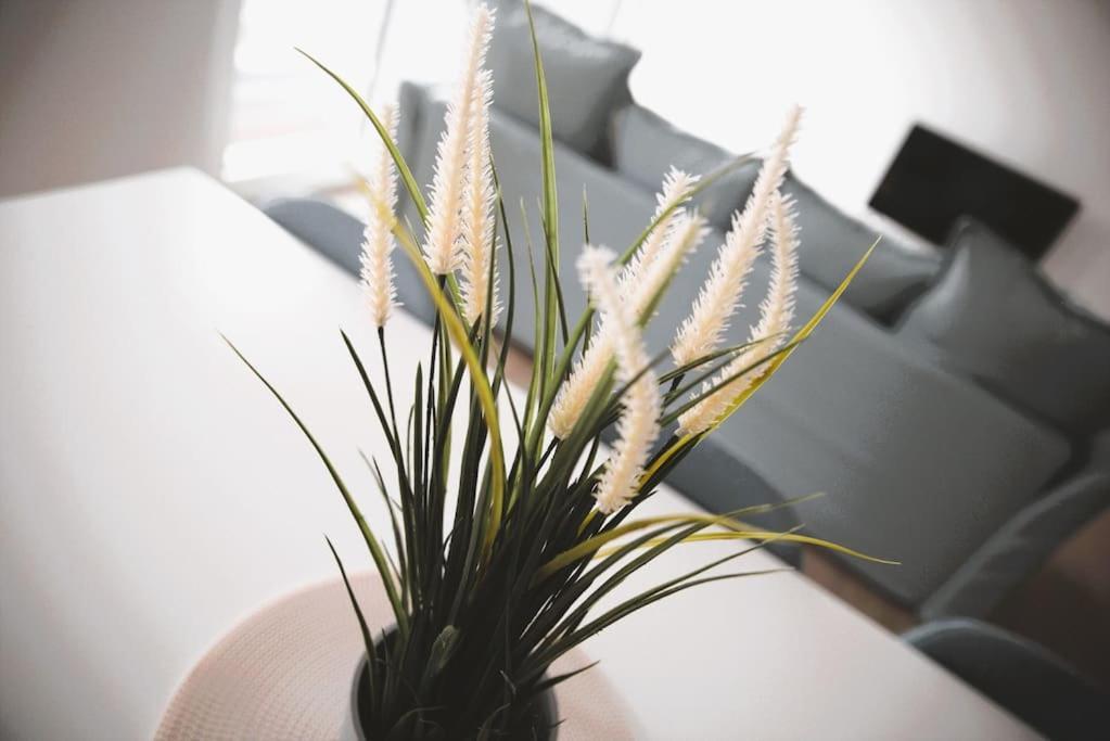 Beautiful Stylish 2Br Apartment In Kirchberg Luxembourg Bagian luar foto